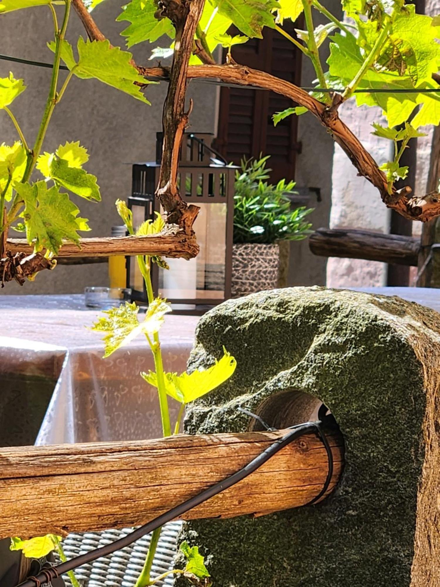 B&B Osteria Morganti Someo Bagian luar foto